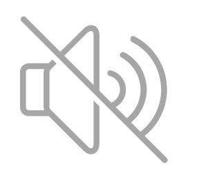 Zero Noise Pollution
